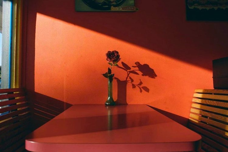 645513fb-bd7d-406a-8477-56b896939f97