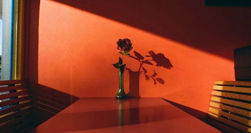 645513fb-bd7d-406a-8477-56b896939f97