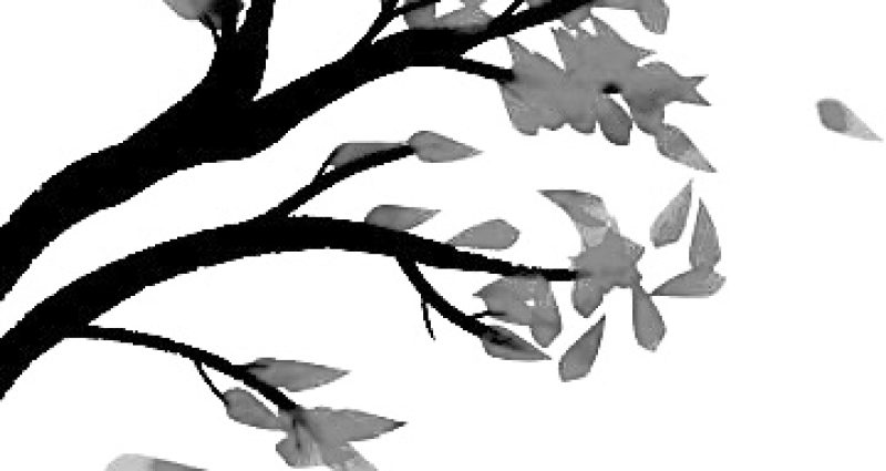 Black Tree Branches And Fallen Orange Leaves, Falling Leaves, Flying Leaves, Branch PNG Transparent Clipart Image and PSD File for Free Download