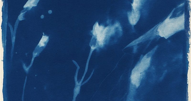 ChatGPT Image Jun 9, 2025 at 09_02_25 AM