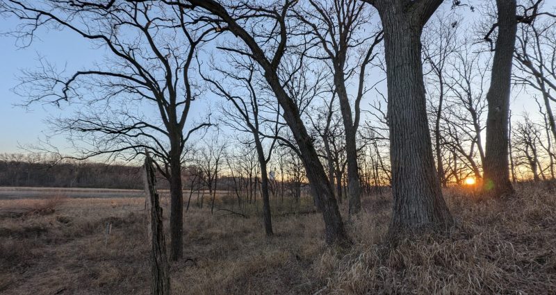 PXL_20241201_220533164