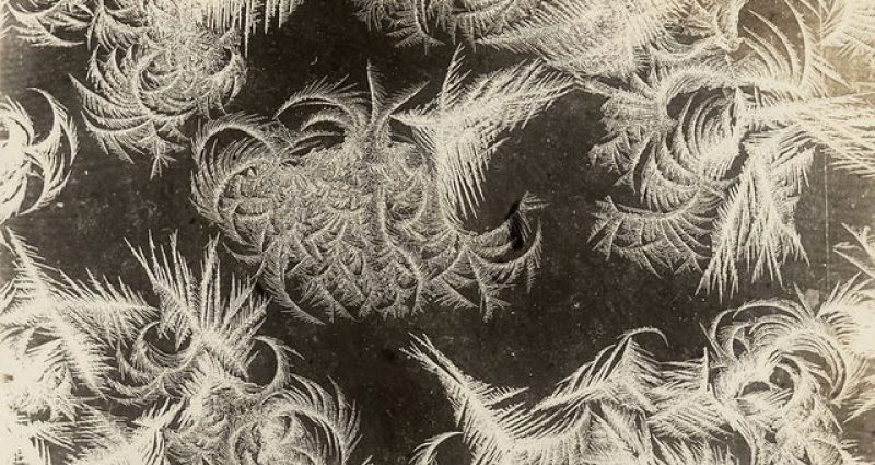 frost-flowers-thumb